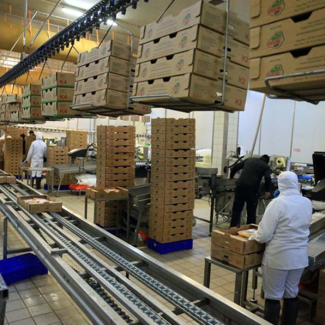 Ticaret Bakanlığı tavuk ihracatını durdurdu