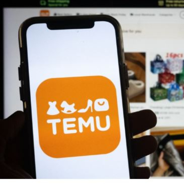 Temu ithalatçı şirket kurdu