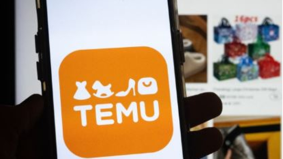 Temu ithalatçı şirket kurdu
