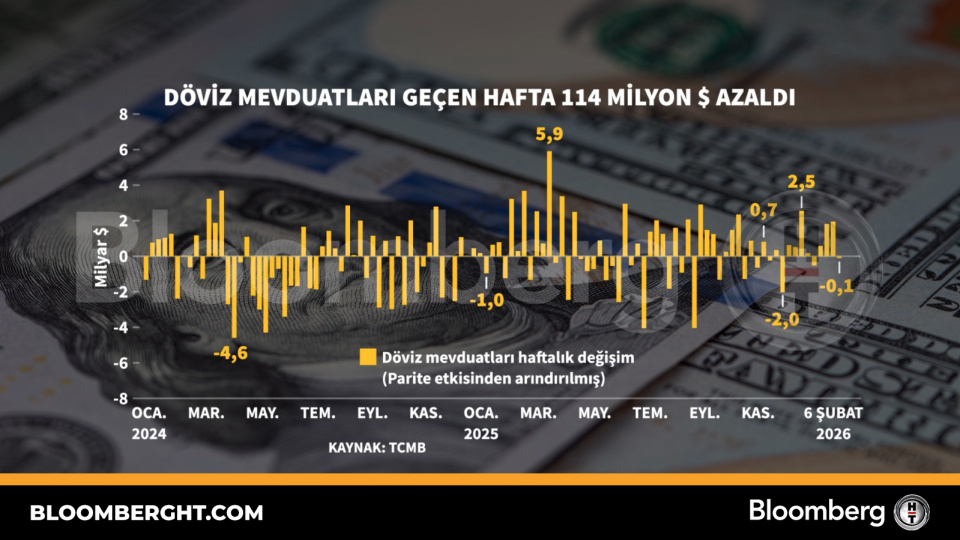 Döviz mevduatları geçen hafta 114 milyon dolar azaldı
