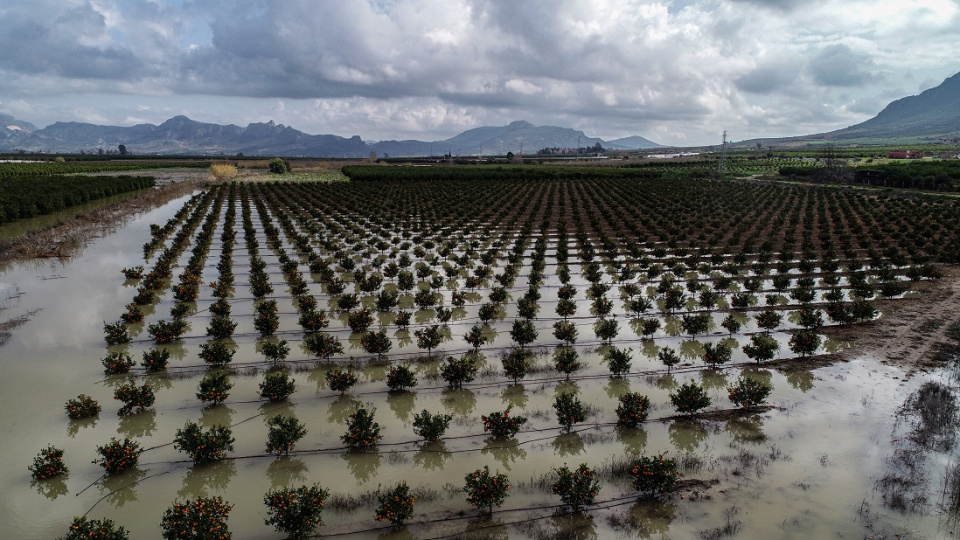 "Adana'da hasatlar 30-45 gün gecikecek"