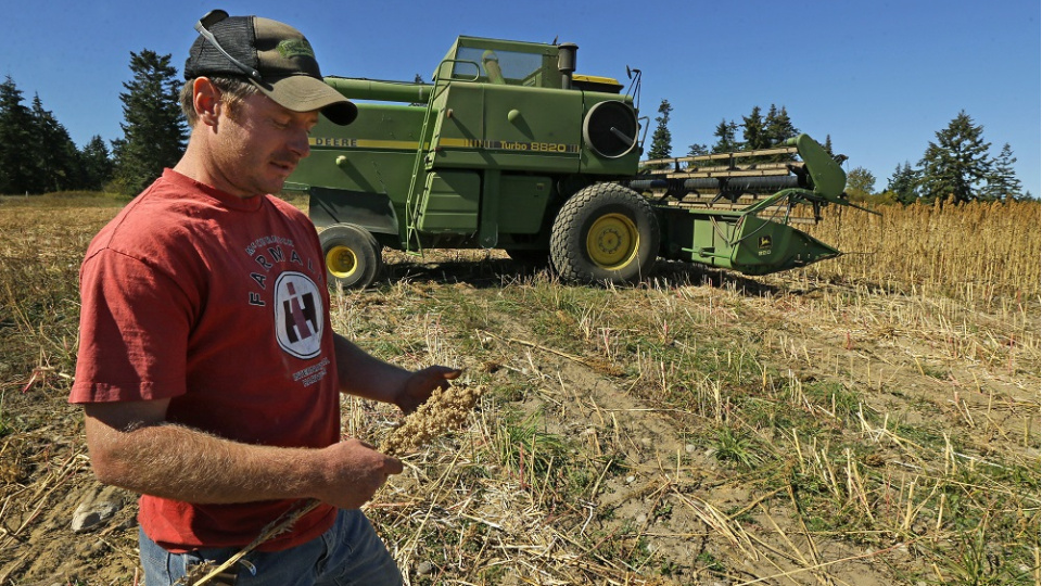 Amerikan çiftçisine 11 milyar dolarlık yeni destek