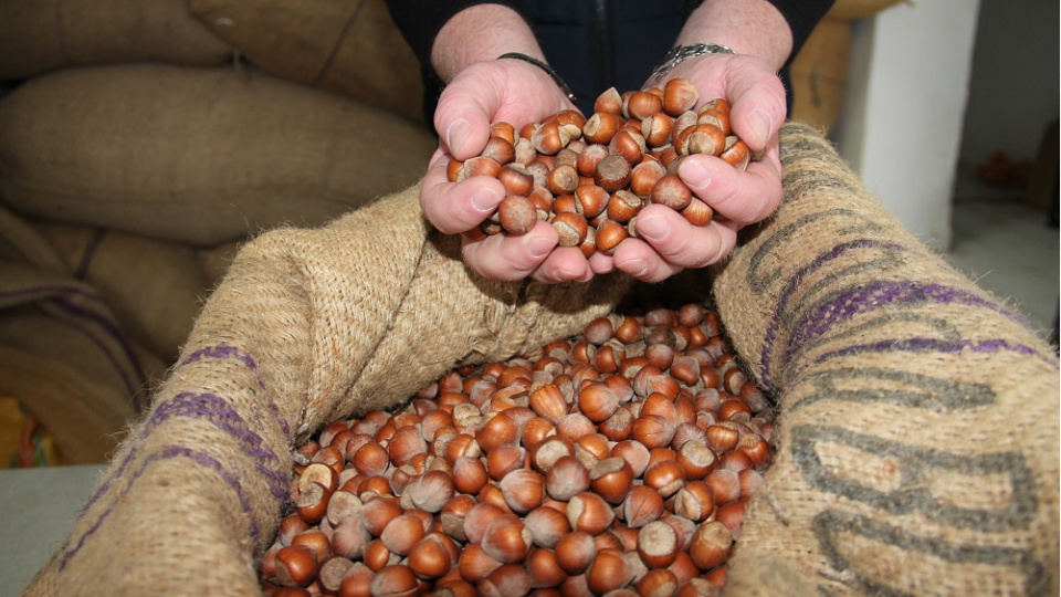 TMO'dan fındığa ilişkin manipülasyon açıklaması