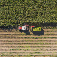 Küresel gıda fiyatları 5 ay sonra yükselişe geçti