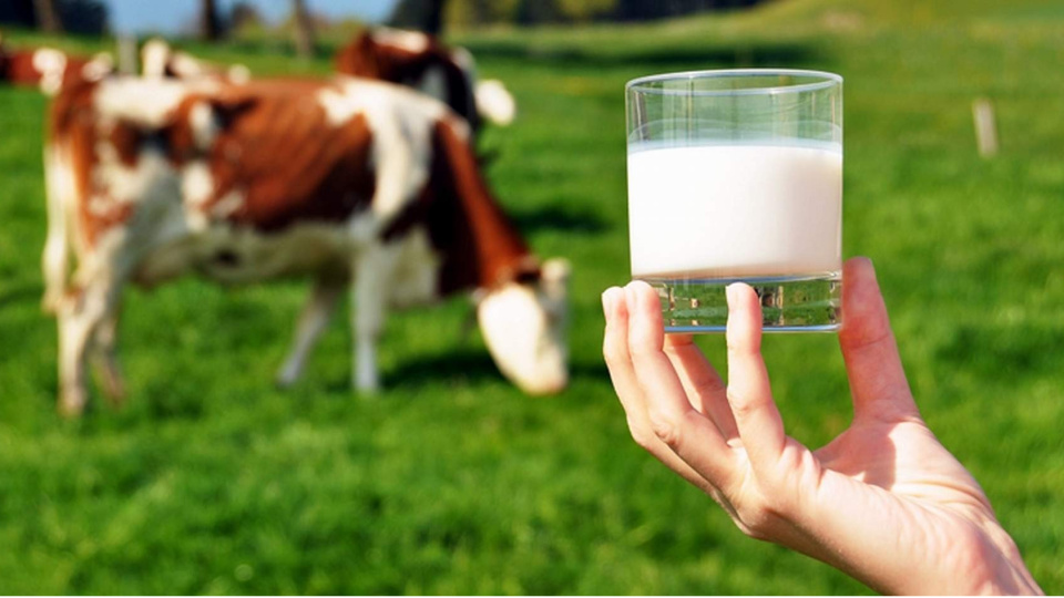 TÜSEDAD: Çiğ süt üretim maliyeti yüzde 8,9 arttı