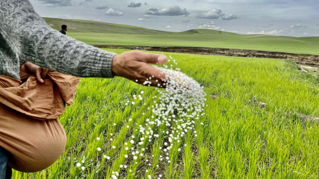 Üre gübresine transit ve yeniden ihracat kısıtı getirildi