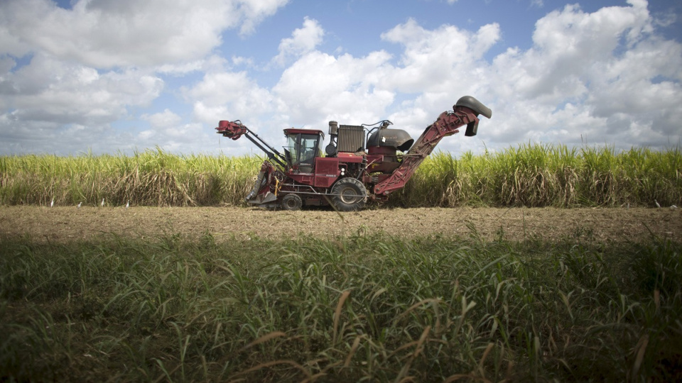 Yükselen enerji fiyatları şekerin tadını kaçırıyor