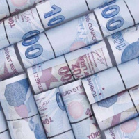 Bütçe Şubat'ta 24,4 milyar TL fazla verdi