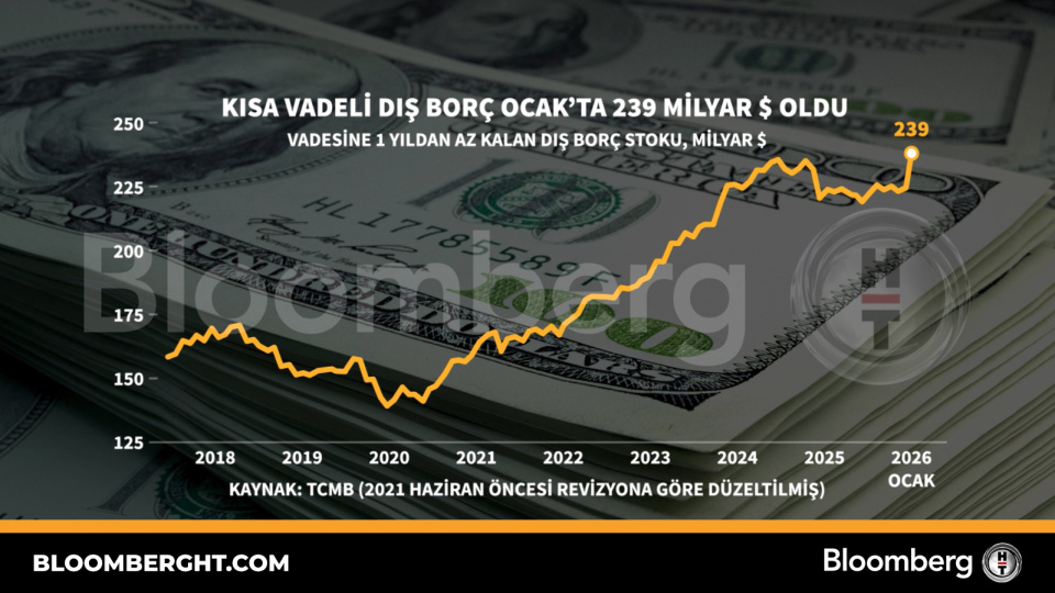 Kısa vadeli dış borç Ocak'ta 239 milyar dolar oldu