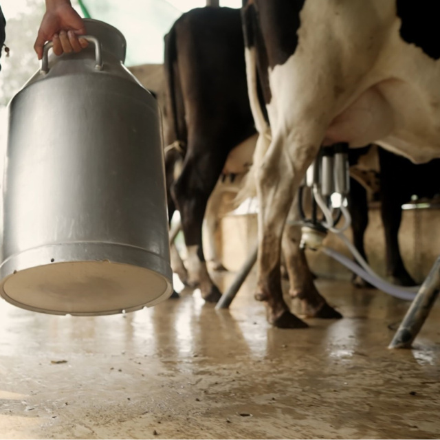 TÜSEDAD uyardı: Gıda enflasyonunda artış kaçınılmaz hale geliyor