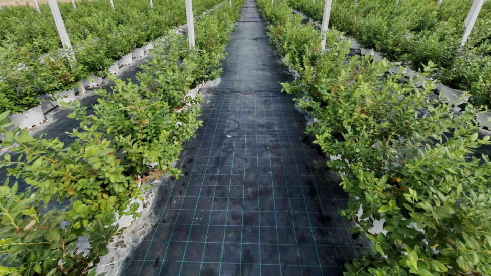 DCT Trading'ten yeni yatırım anlaşması