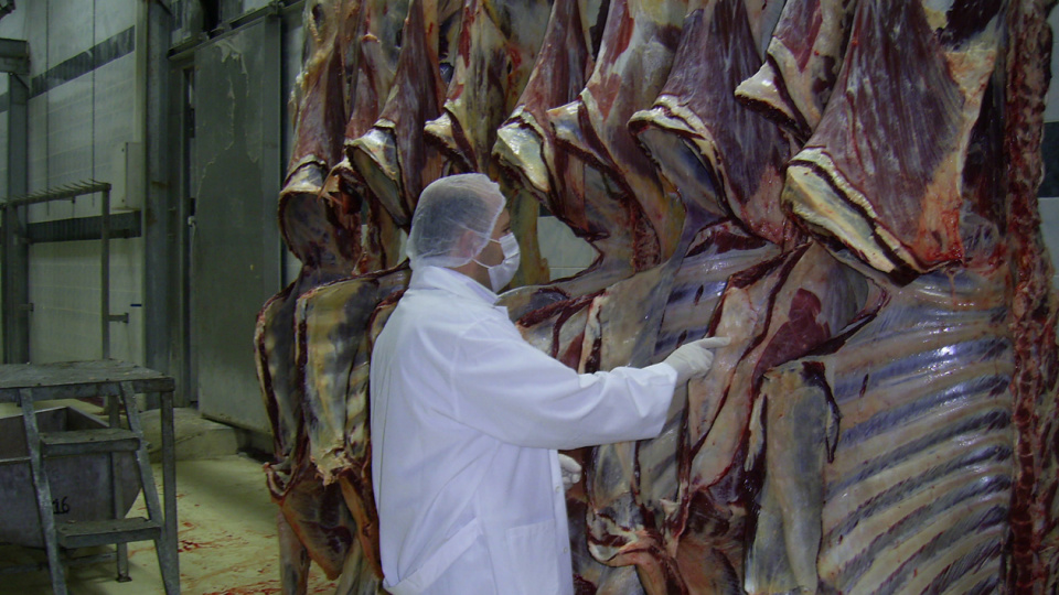 "Et fiyatları manipülasyonu" operasyonunda 30 gözaltı