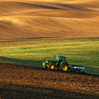 Küresel gıda fiyatları savaşla birlikte sert yükseldi