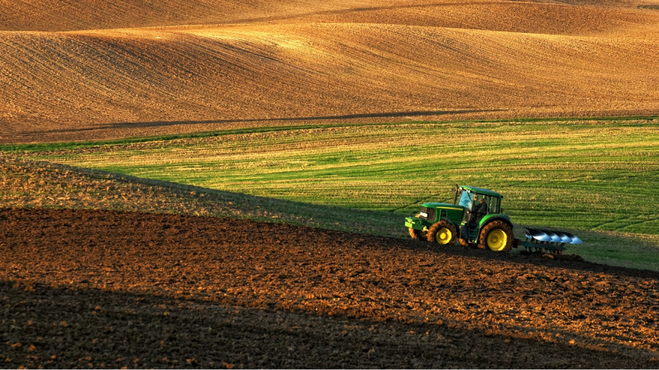 Küresel gıda fiyatları savaşla birlikte sert yükseldi