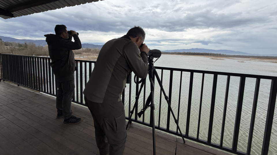 Doğa Koruma ve Milli Parklar uzmanlığında düzenleme