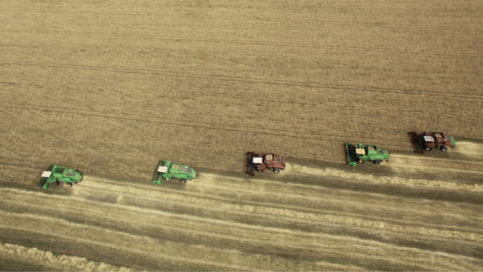 Rusya'nın buğday ihracatı ilk çeyrekte yüzde 14 arttı
