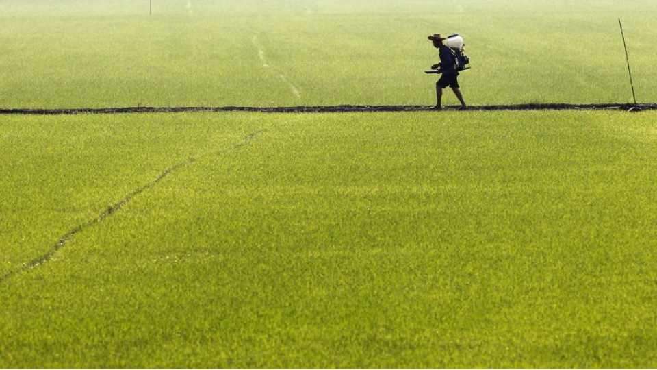 Dünya Bankası'ndan emtia fiyatları için zirve uyarısı
