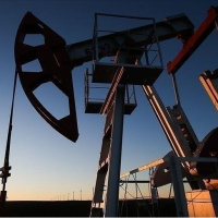 OPEC+ üyesi yedi ülkeden üretim artış kararı