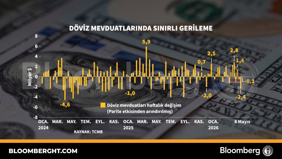 Döviz mevduatlarında sınırlı gerileme
