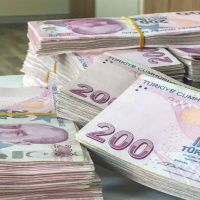 TL'nin reel değeri Mayıs'ta geriledi