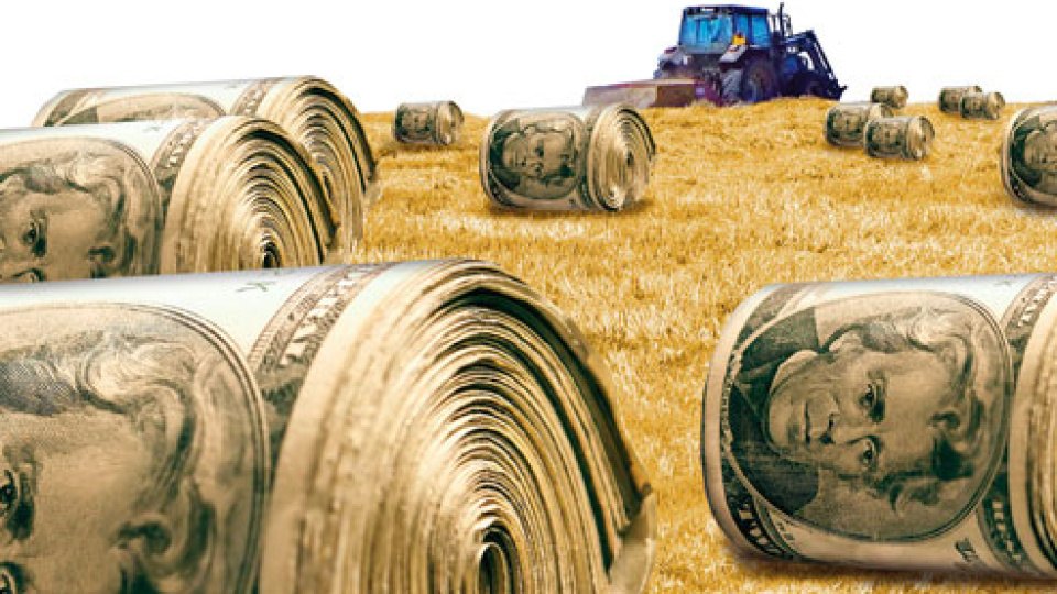 Tarımda 500 Milyon Dolarlık Süper El Nino Bahsi
