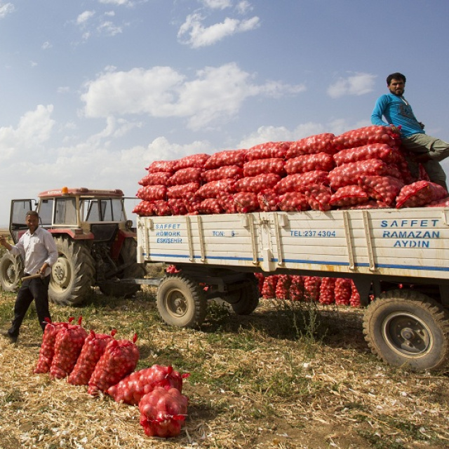 Ticaret Bakanlığından kuru soğan açıklaması