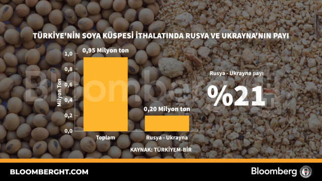 Türkiye'nin soya küspesi ithalatında Rusya ve Ukrayna'nın payı