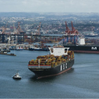 MSC Rusya Karadeniz seferlerini durdurdu