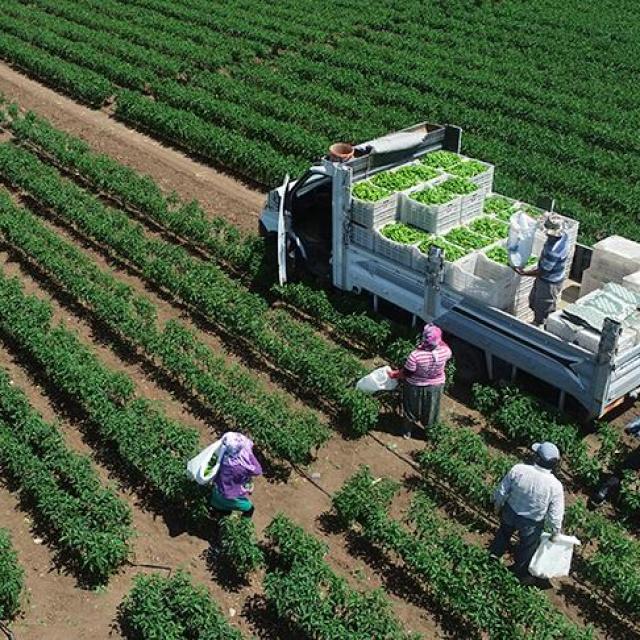 12,5 milyar liralık kırsal kalkınma desteği verilecek - 1 hafta önce