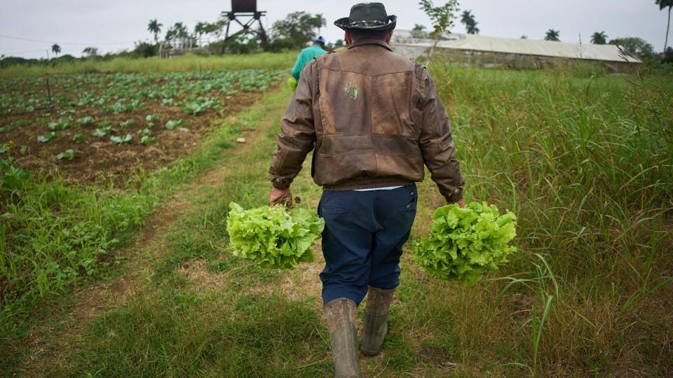 US farm debt hits record as alternative lending grows