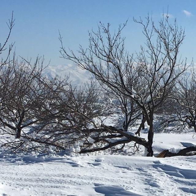 TARSİM'de temel sigorta paketine 16 ürün daha ekleniyor - 3 saat önce