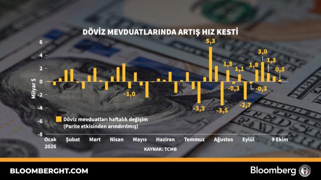 Döviz mevduatlarında artış hız kesti