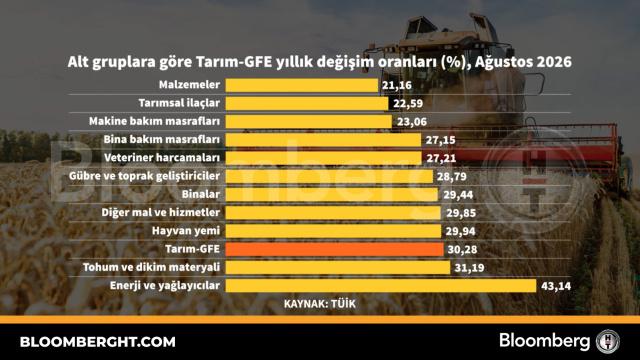 Alt gruplara göre tarım-GFE yıllık değişim oranları