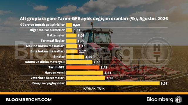 Alt gruplara göre tarım-GFE aylık değişim oranları