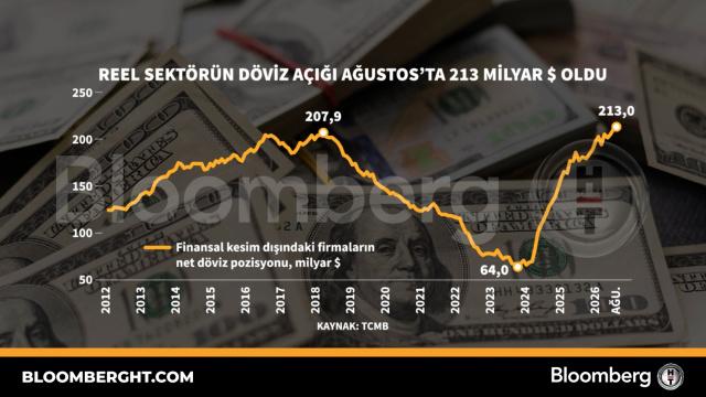 Reel sektörün döviz açığı Ağustos'ta 213 milyar dolar oldu